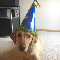 NWR: it's my dogs birthday!