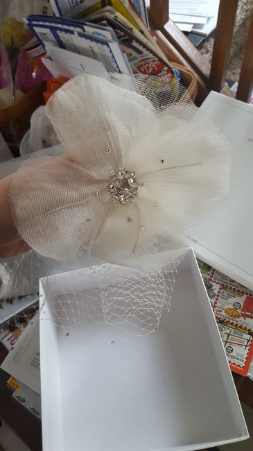 Favorite Purchase So Far?