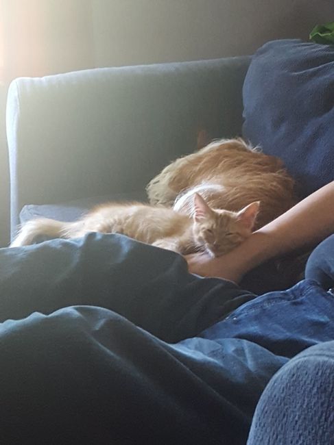 NWR: Show me your fur babies