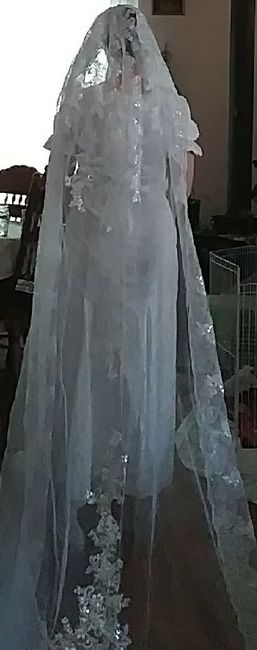 My wedding dress and veil - what do you think? 6