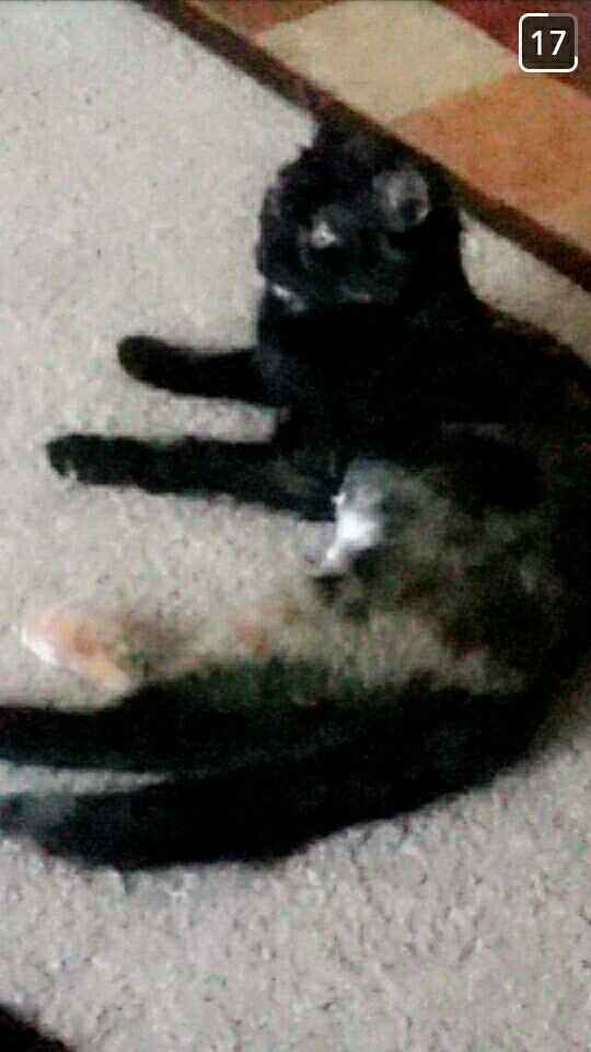 NWR - I'm a first time Auntie!