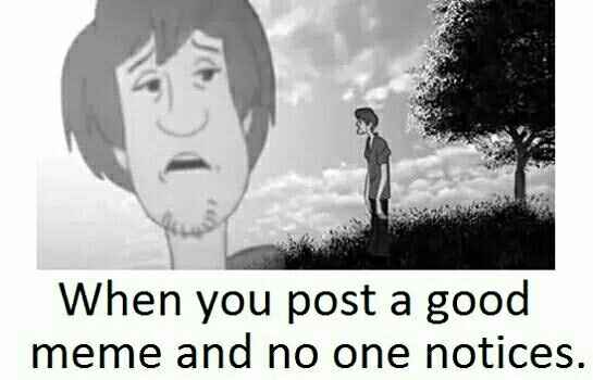 NWR:  Share some Memes