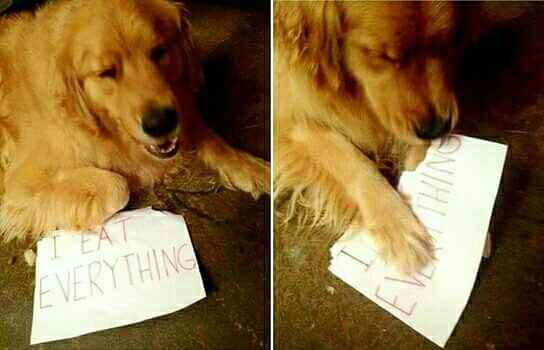 1 2 3 4 - I Declare a Meme War