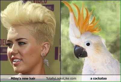Hair styles for BM