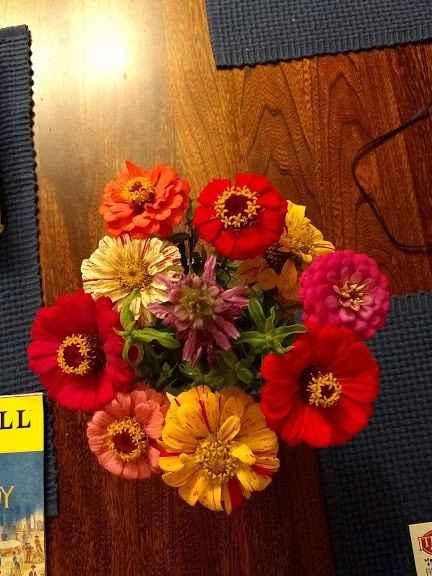 Wegmans Floral for Wildflowers? - 1