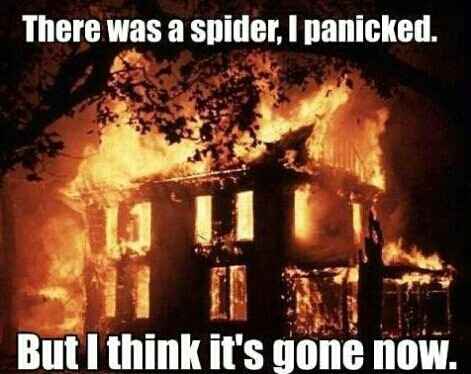 NWR - Spiders!!!