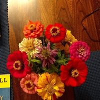 Wegmans Floral for Wildflowers? - 1