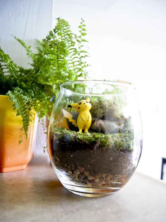 Pokemon Terrariums