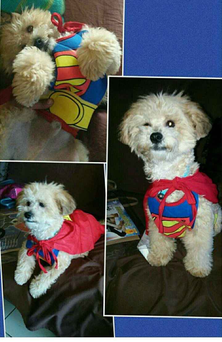 NWR Show us your Halloween Pets!