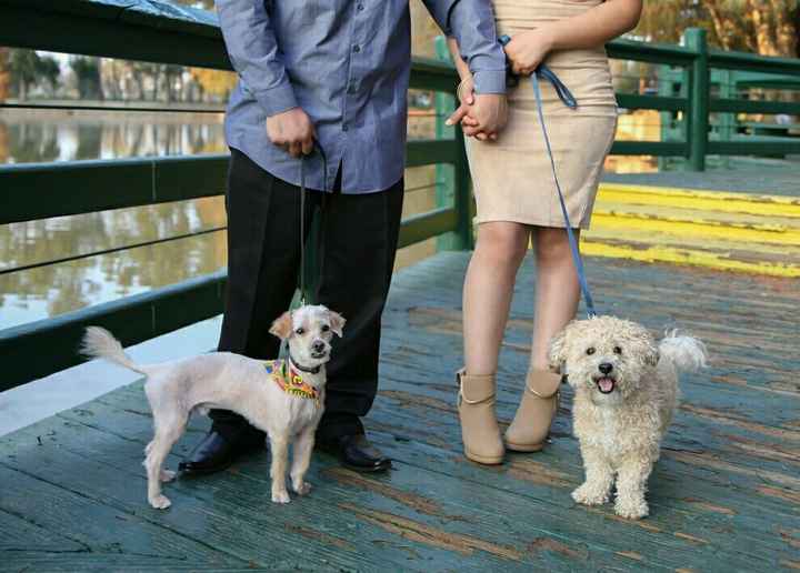 Having your pet in the engagement photos?