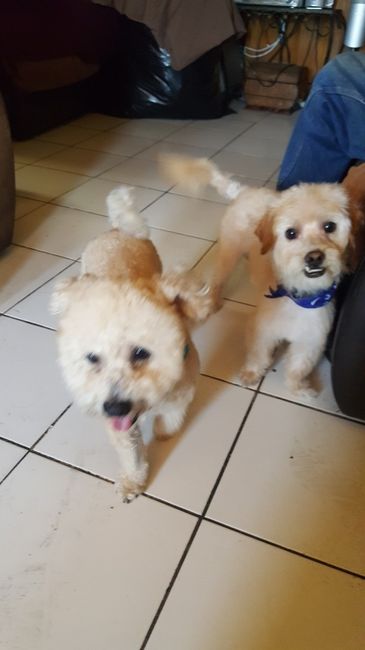 NWR: Puppies and fur babies!