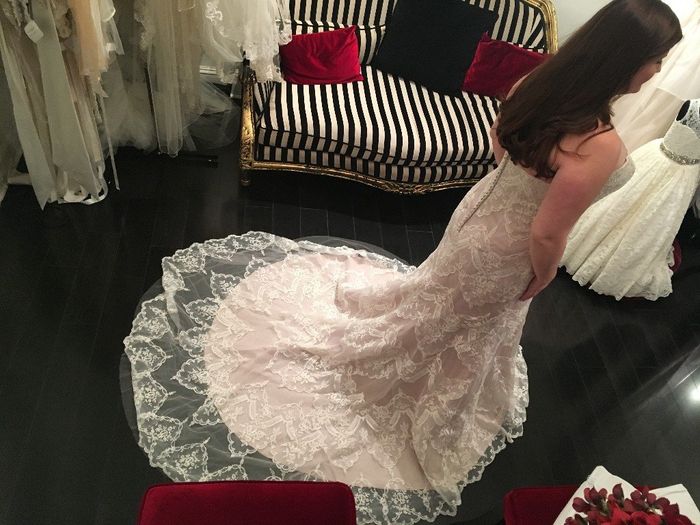 Back of the dress