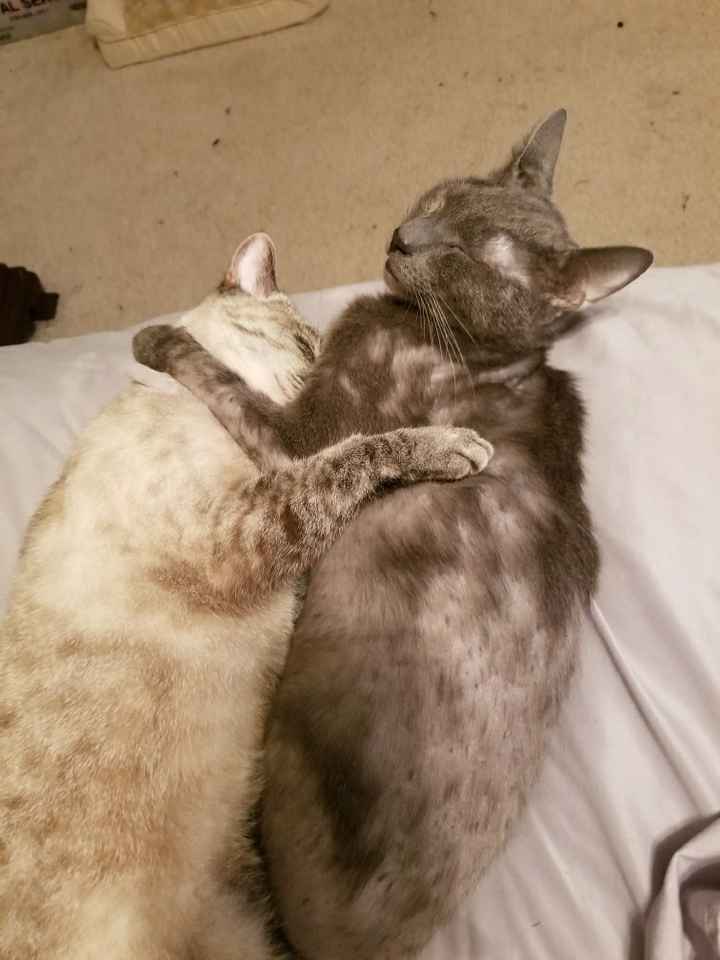 NWR: Show me your fur babies