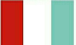 Tell me your wedding colors!