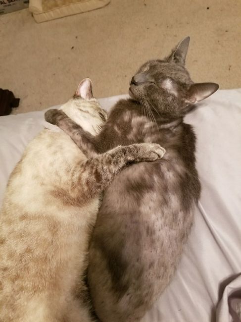 NWR: Show me your fur babies