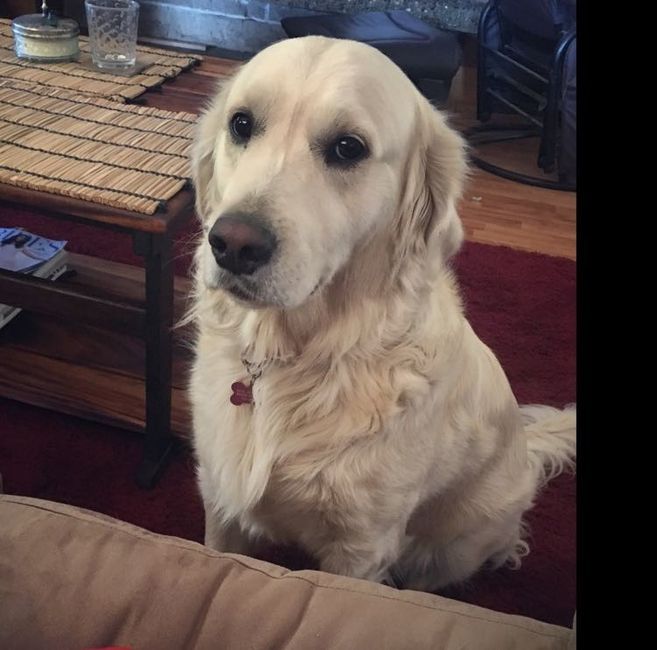 Trying to wedding plan like...