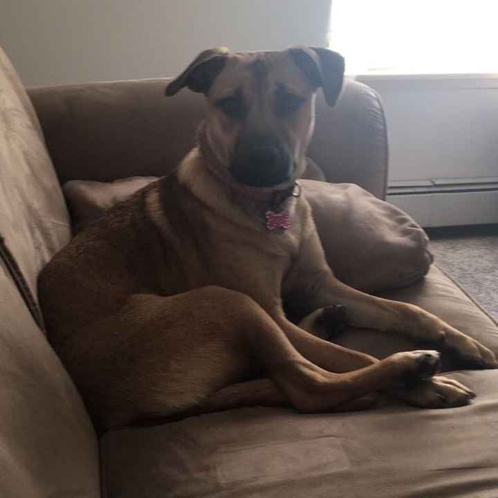 NWR: you and furbaby pic!