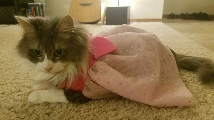 NWR:  Show me your fur babies!