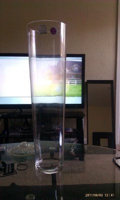 I LOVE TJMAXX * Found Ctrpc Vases Today *PICS
