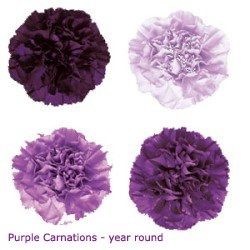 Carnation Wedding Flowers *** PICS INCLUDED
