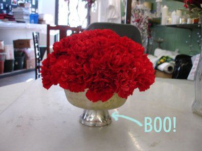 ATTENTION GOOGLE QUEENS : I need help finding something