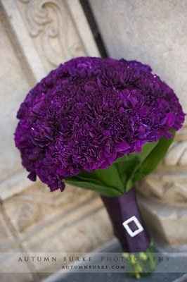 Show me your flowers! **Pics**