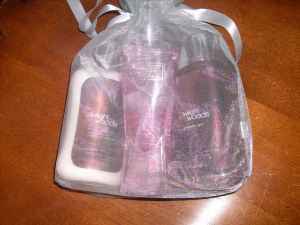 Will you be my Bridesmaid ? GIFTS DONE