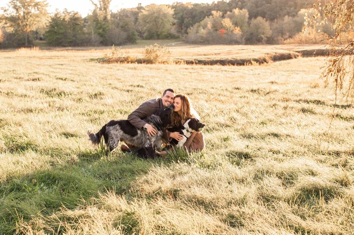 Engagement pics with pet 1