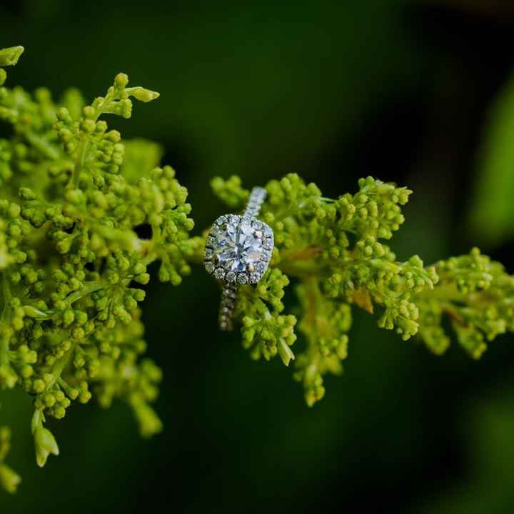  Blue Nile Opinions - 1