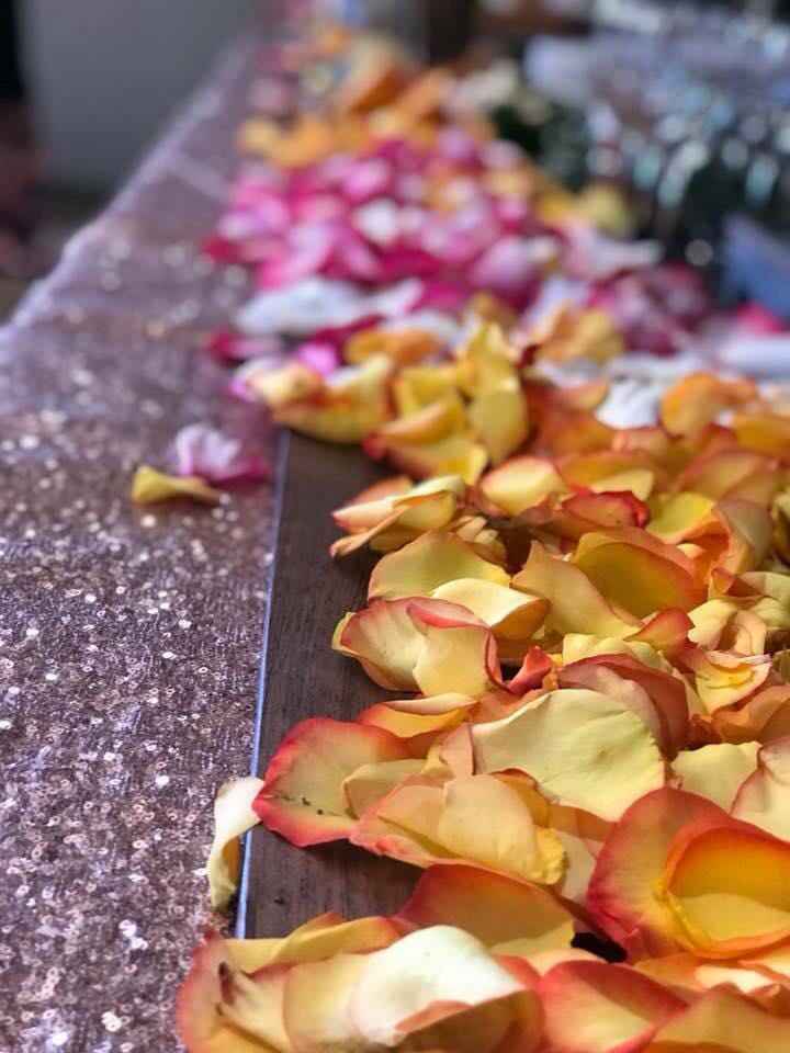 bas 6/16/18 (pic Heavy!) - 5