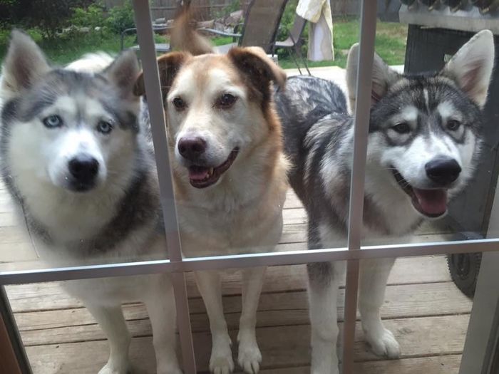 NWR: Show me your pups!