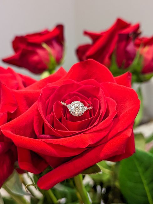 2023 Brides - Show us your ring! - 1