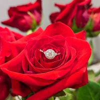2023 Brides - Show us your ring! - 1