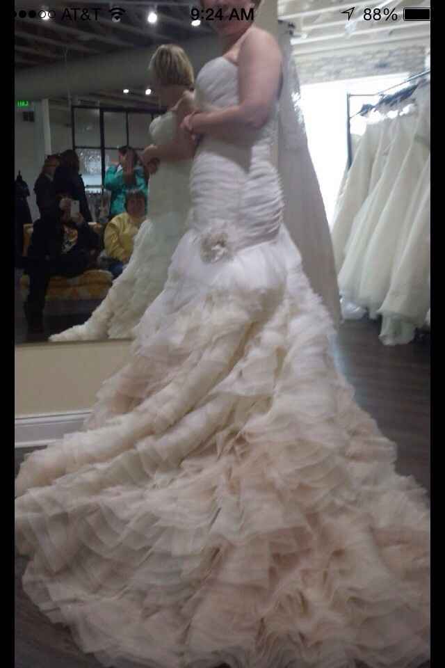 Gowns & Brides