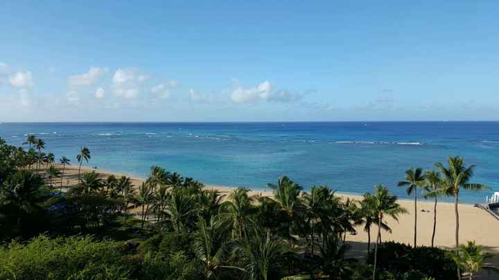 Aloha Hawaii