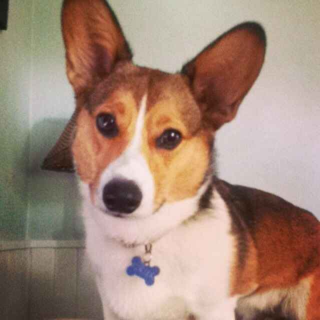 A belated introduction!