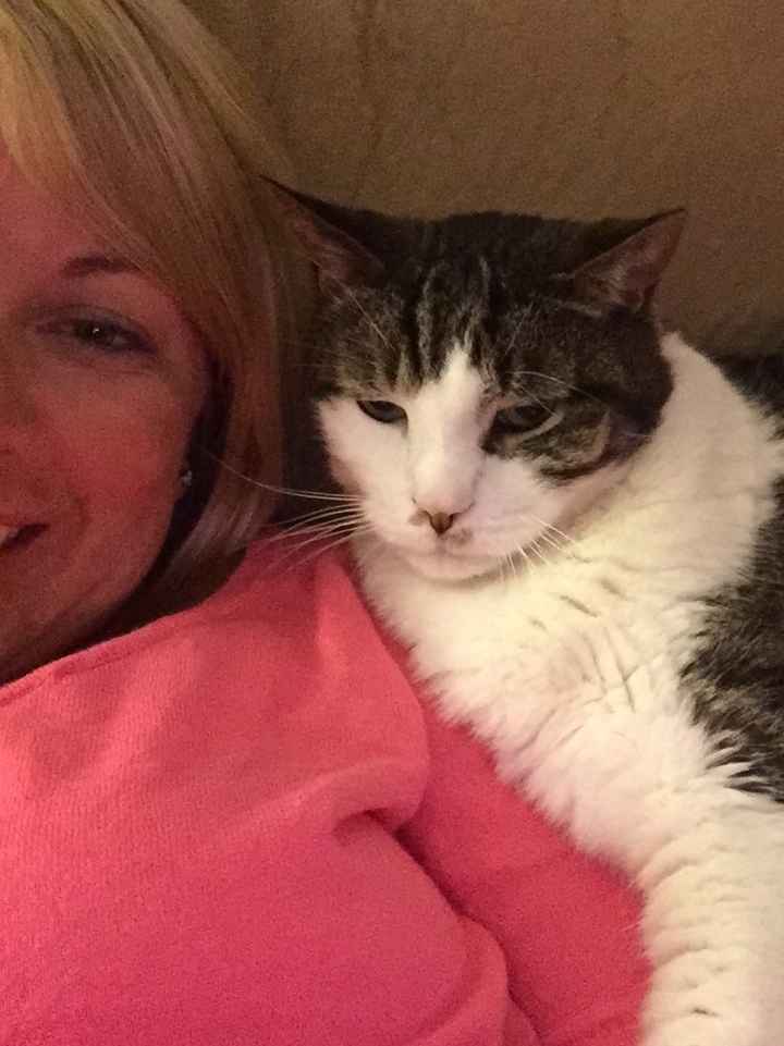 NWR: Happy Fursday!