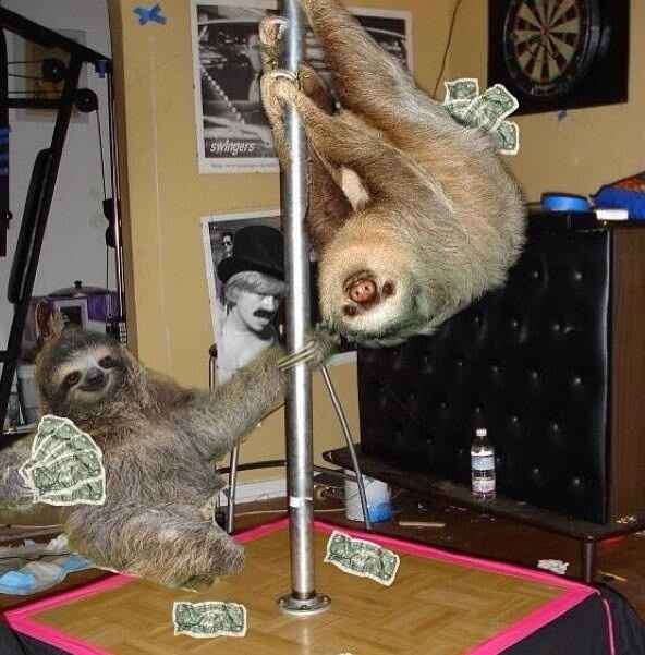 Dollar Dance