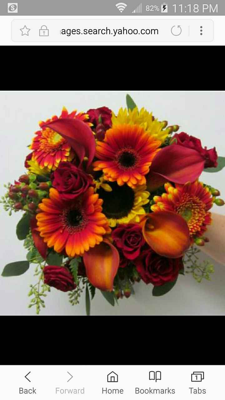 What are your colors? - 2