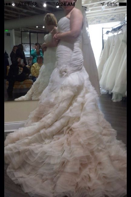 Gowns & Brides