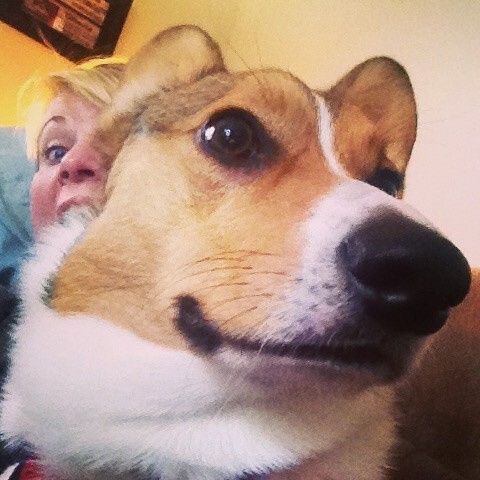 NWR: Happy Furry Fursday, let's see them fur babies!