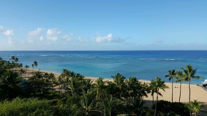 Aloha Hawaii
