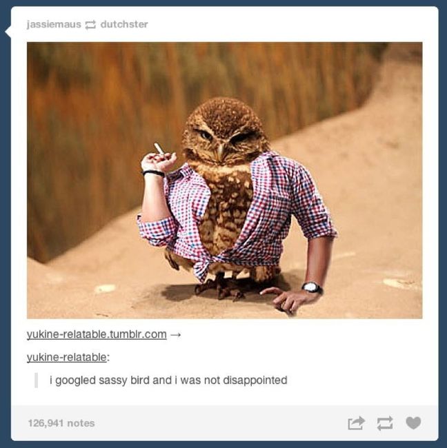 NWR: Cool fact, story, meme...