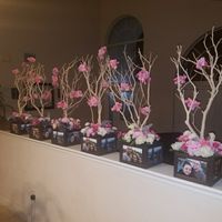 Centerpieces-Manzanita Trees