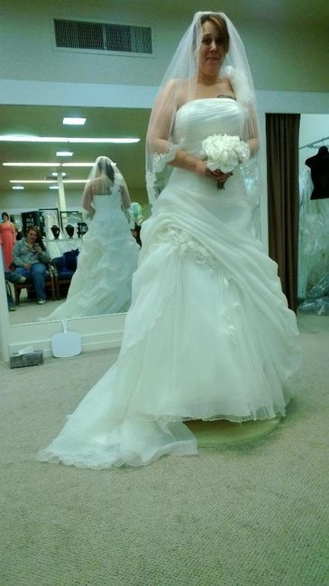 Picked up my wedding dress - with pic