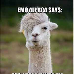 The alpaca thread is gone