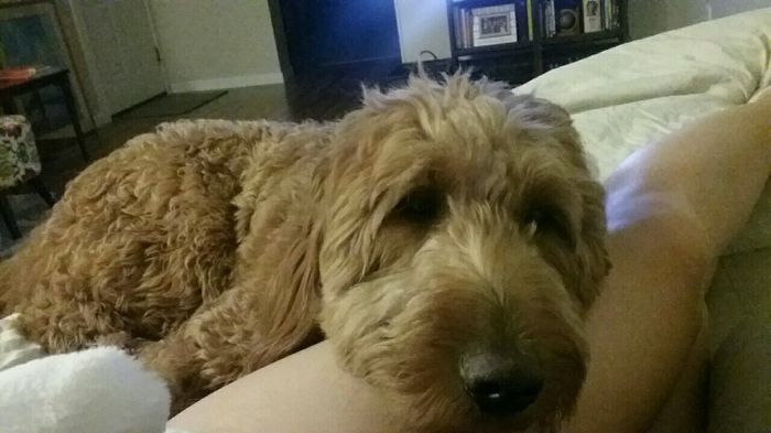 Nwr: puppy fever! (Pics included)