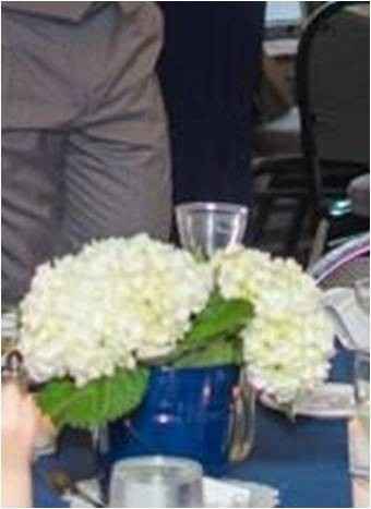 Inexpensive flower options?