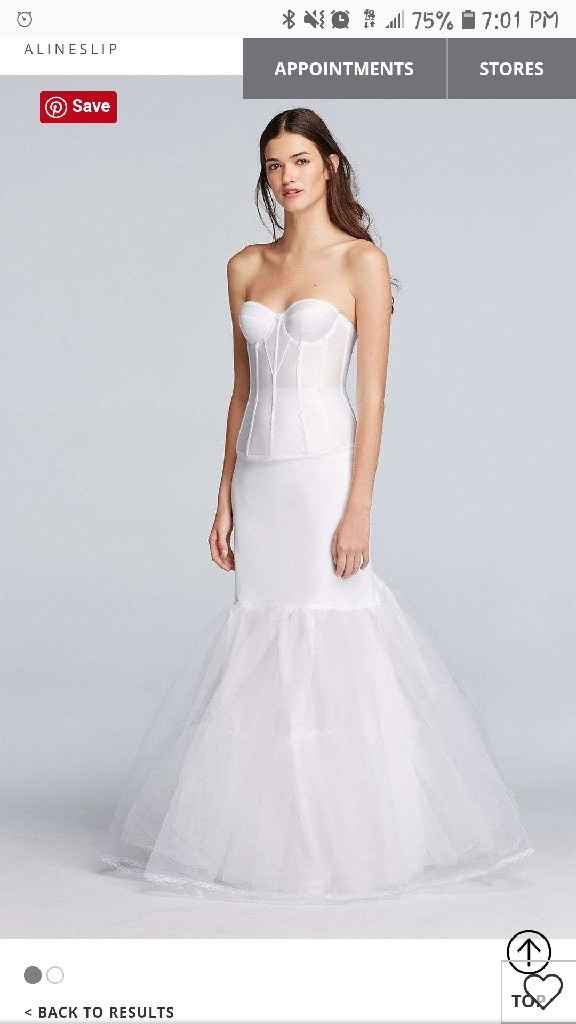 Petticoat or no petticoat? - 1