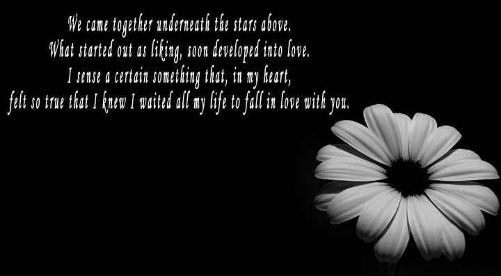 Guest Book Alternative - 1